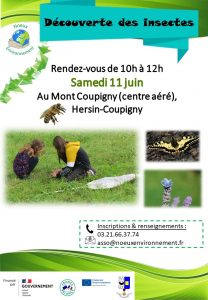 Découverte des insectes @ Mont Coupigny, Hersin-Coupigny | Hersin-Coupigny | Hauts-de-France | France